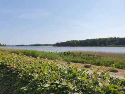 Holiday house Cozy Vacation home with hot tub - Outdoor photo 30