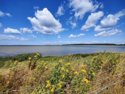 Holiday house Cozy Vacation home with hot tub - Outdoor photo 43