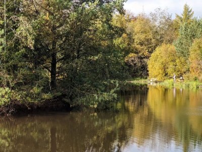 Holiday house 4 person holiday home in Oksbøl-By Traum - Outdoor photo 11