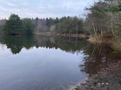 Holiday house 4 person holiday home in Oksbøl-By Traum - Outdoor photo 15