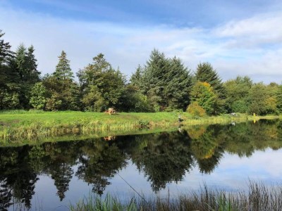 Holiday house 4 person holiday home in Oksbøl-By Traum - Outdoor photo 16