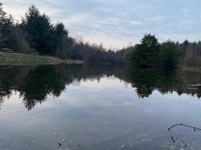 Holiday house 4 person holiday home in Oksbøl-By Traum - Outdoor photo 19