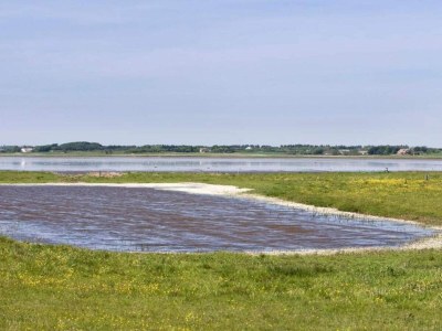 Holiday house 4 person holiday home in Oksbøl-By Traum - Outdoor photo 31