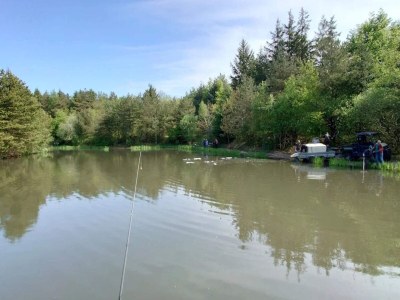 Holiday house 4 person holiday home in Oksbøl-By Traum - Outdoor photo 32