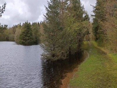 Holiday house 4 person holiday home in Oksbøl-By Traum - Outdoor photo 37