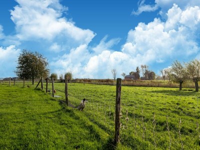 Holiday house Umweltfreundliches Appartement mit Garten - Environment photo 22