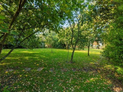 Holiday house Apartment bei Harlingen, Meer, 3 PAX Von Belvilla - Outdoor photo 15