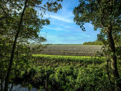 Holiday house Apartment bei Harlingen, Meer, 3 PAX Von Belvilla - Environment photo 37