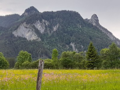 Holiday apartment Obergasse - Environment photo 13
