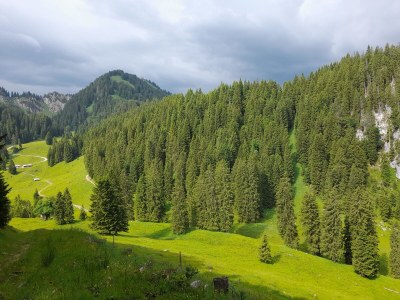 Holiday apartment Obergasse - Environment photo 14