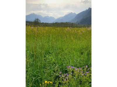 Holiday apartment Obergasse - Environment photo 16