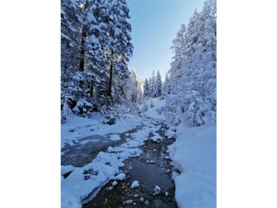 Holiday apartment Obergasse - Environment photo 23