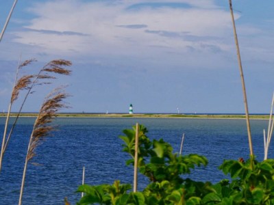 Holiday apartment Ferienwohnung Am Hafeneck Olpenitz - Environment photo 24