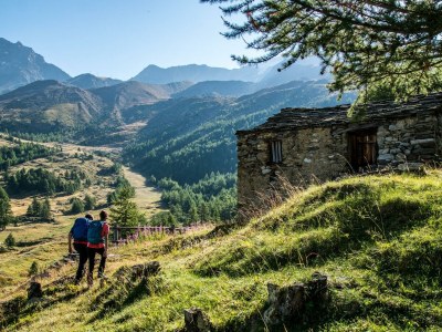 Apartment 5-Bettwohnung - Outdoor photo 4