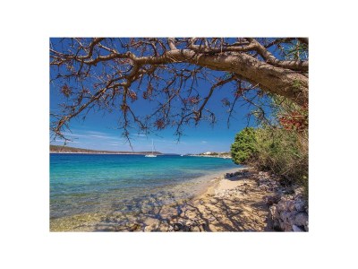 Villa Villa Bura Rab - Environment photo 21