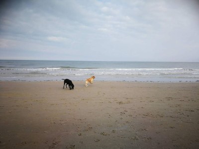Holiday house 8 Personen Ferienhaus in Hirtshals-By Traum - Outdoor photo 15
