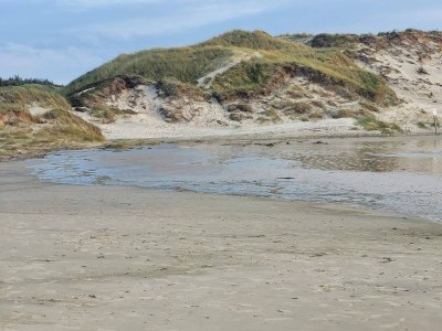 Holiday house 8 Personen Ferienhaus in Hirtshals-By Traum - Outdoor photo 18
