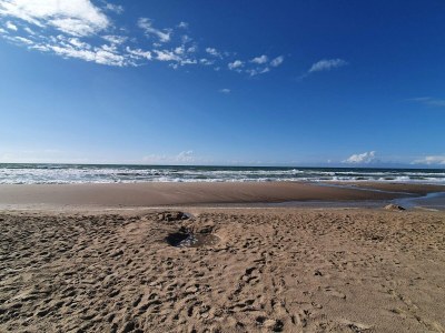 Holiday house 8 Personen Ferienhaus in Hirtshals-By Traum - Outdoor photo 27