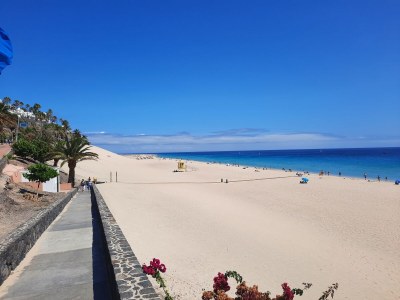 Bungalow Villa del Sol - Environment photo 27