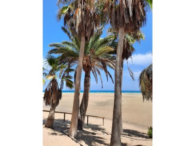 Bungalow Villa del Sol - Environment photo 29