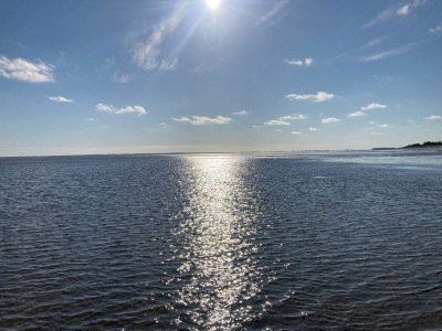 Bungalow Villa del Sol - Environment photo 32