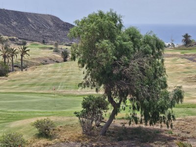 Bungalow Villa del Sol - Environment photo 33