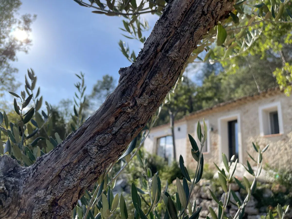 Holiday house Eva's Cabanon