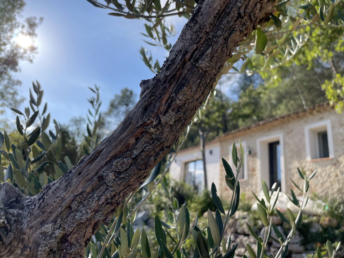 Holiday house Eva's Cabanon - Outdoor photo 2