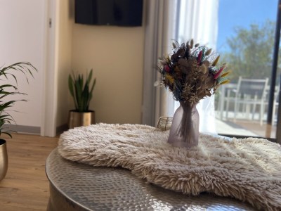 Holiday house Eva's Cabanon - Features photo 18