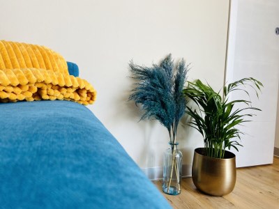 Holiday house Eva's Cabanon - Features photo 26