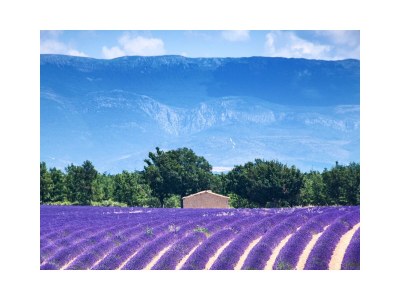 Holiday house Eva's Cabanon - Environment photo 33