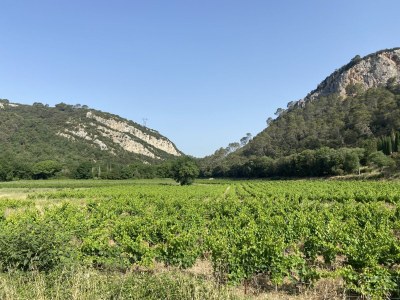 Holiday house Eva's Cabanon - Environment photo 38