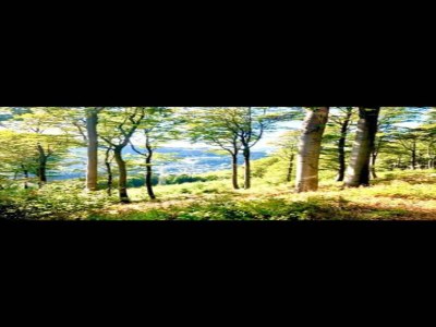 Holiday house Wohnung mit privater Terrasse in Velmede - Environment photo 30