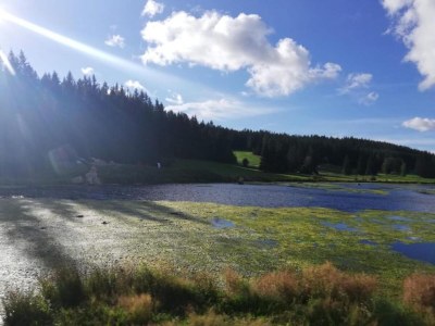Holiday house Wohnung mit privater Terrasse in Velmede - Environment photo 31
