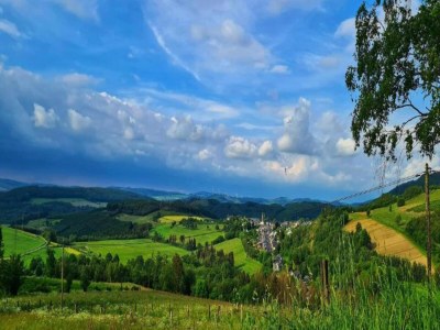 Holiday house Wohnung mit privater Terrasse in Velmede - Environment photo 37
