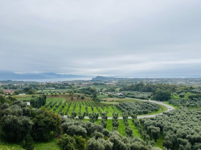 Holiday apartment Near the Shore - Environment photo 39