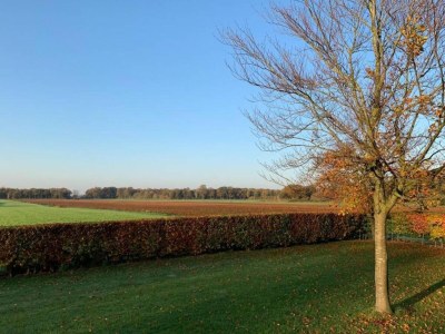 Holiday park Gemütliches Ferienhaus in Twente - Environment photo 23