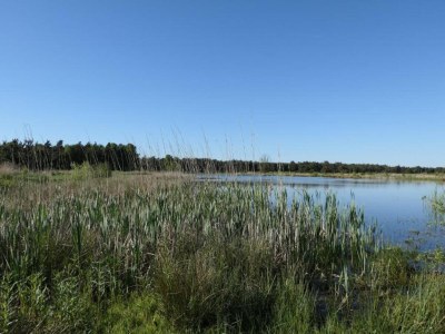Holiday park Gemütliches Ferienhaus in Twente - Environment photo 25