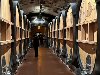 Holiday apartment Oberkreuth - Environment photo 33