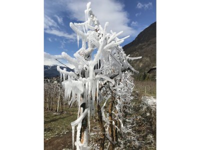 Holiday apartment Oberkreuth - Environment photo 37