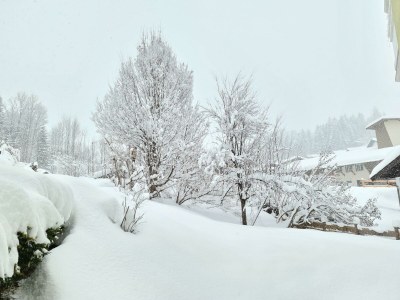 Apartment 2-4 Personenwohnung - SUPERIOR - Outdoor photo 10