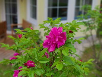 Apartment 2-4 Personenwohnung - SUPERIOR - Features photo 30