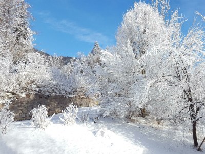 Apartment 2-4 Personenwohnung - KOMFORT - Outdoor photo 8