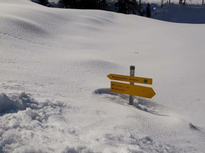 Apartment 2-4 Personenwohnung - KOMFORT - Outdoor photo 23