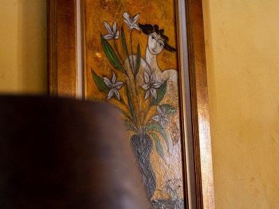 Cottage Quiet cottage with heated pool - 401 SAT - Features photo 15