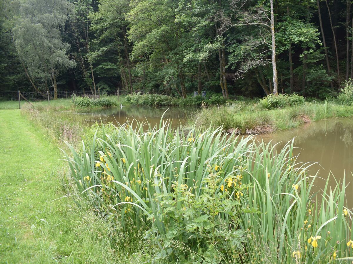 Apartment Ferienwohnung Siegfriedquelle - Outdoor photo 4