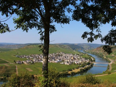 Apartment Ferienhaus Waldblick - Outdoor photo 7