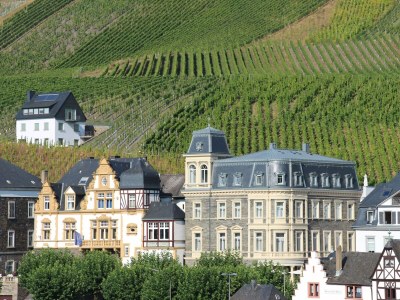 Apartment Ferienhaus Waldblick - Outdoor photo 10