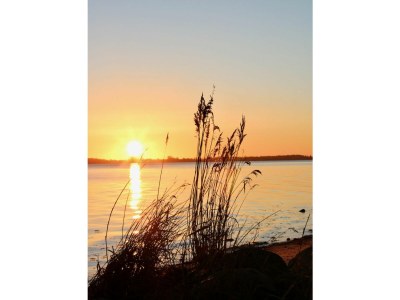 Holiday house Ferienhaus Heimathafen Langballigholz - Features photo 14