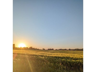 Holiday house Ferienhaus Heimathafen Langballigholz - Environment photo 28